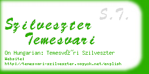 szilveszter temesvari business card